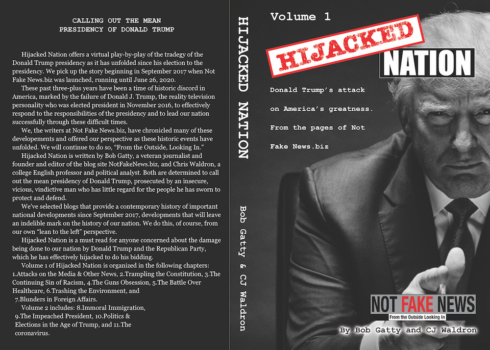 Hijacked Nation book cover